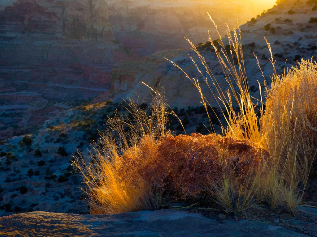 Sun Struck - Vivian Mcaleavey